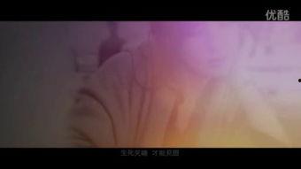 一级片视频,揭秘激情背后的故事