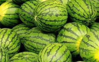 吃瓜网每日大赛往期内容